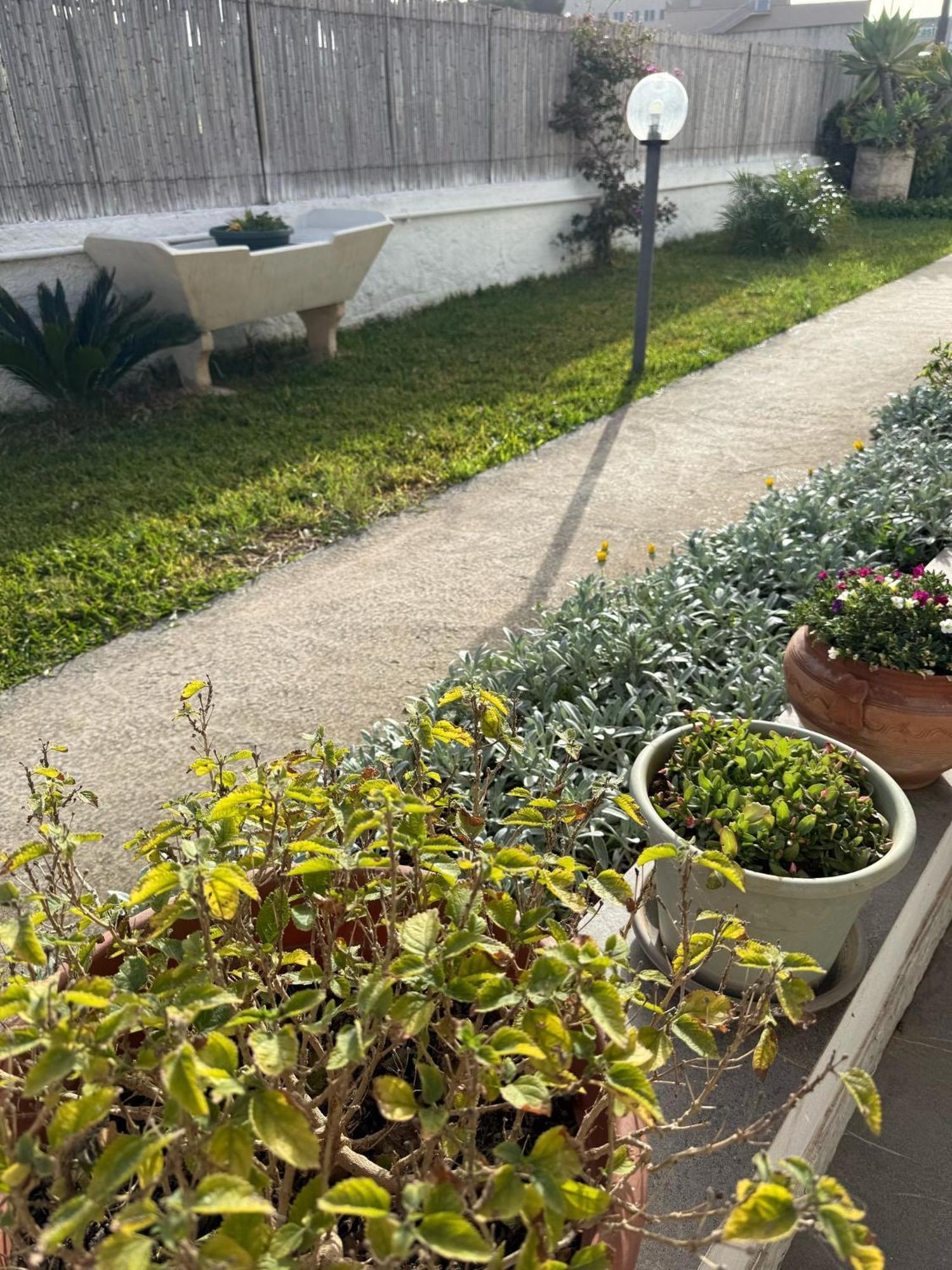 A Casa Di Coso B&B Marsala Exterior foto